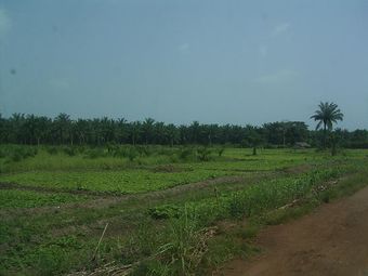 Photo 079.jpg - Unicode